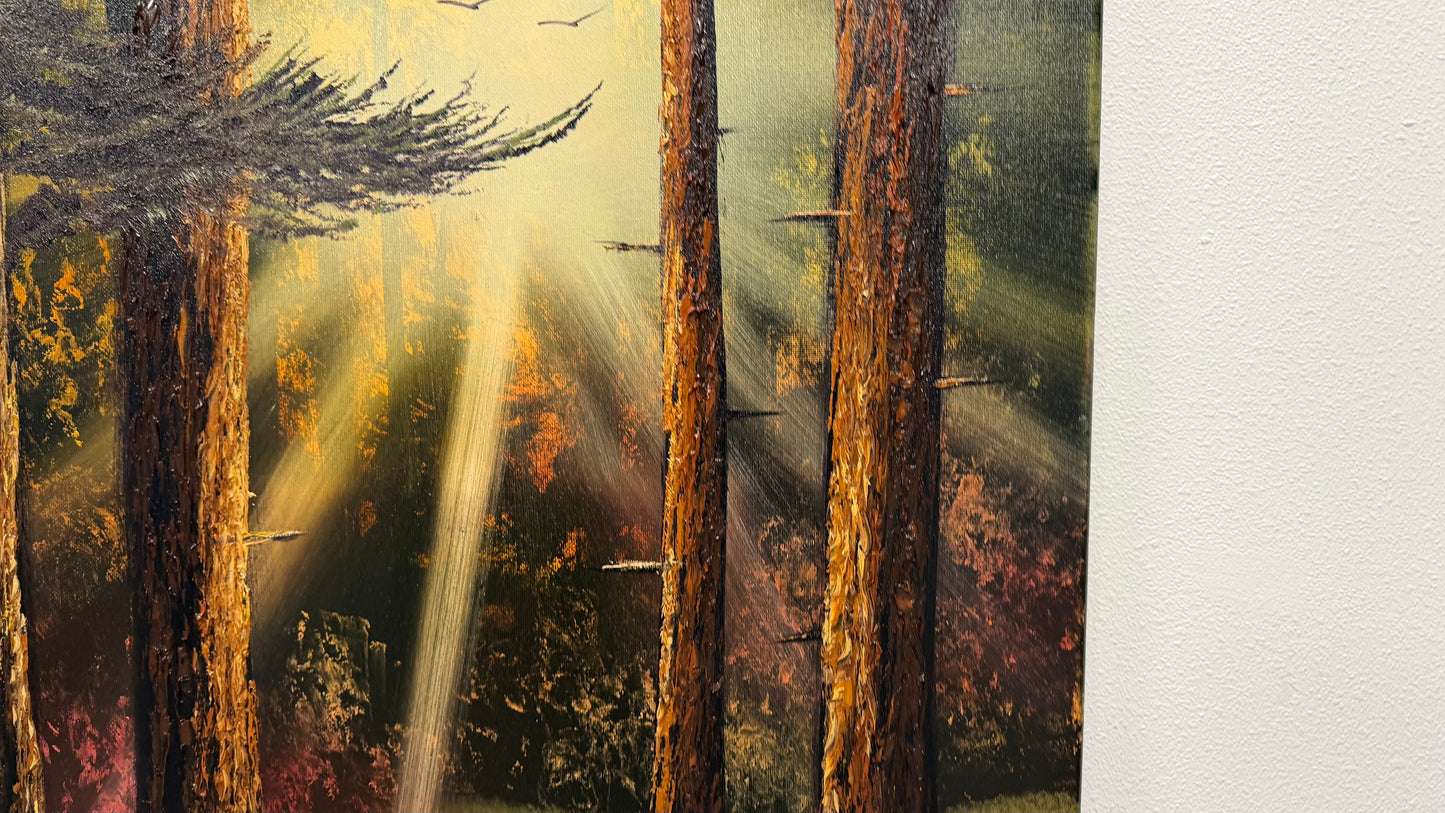 Painting #2521 - 20x24" Canvas - Sunset Forest Landscape painted 7-20-26