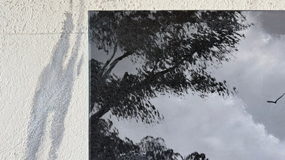 Painting #2456 - 18x24" Canvas - Black and White Meadow painted 5-24-26