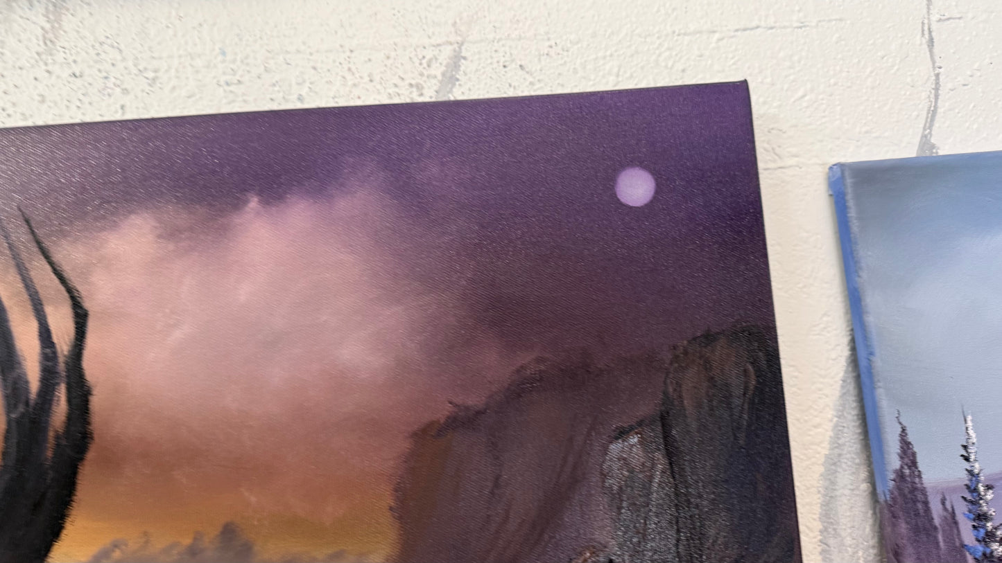 Painting #2221 - 15x30" Pro Series Canvas - The Abyss painted 1-4-26