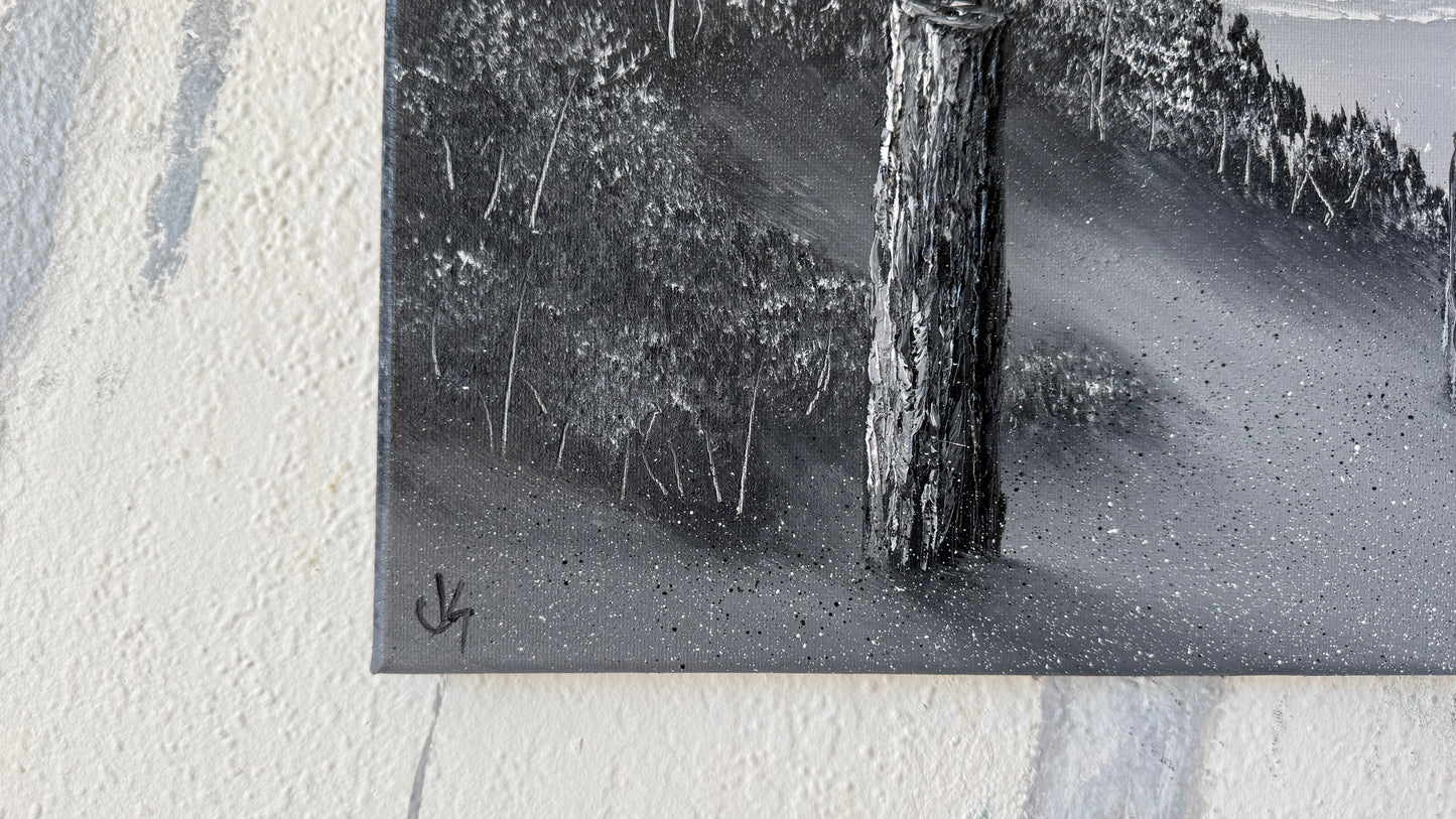 Painting #2449 - 16x20" Canvas - Black and White Seascape painted 5-21-26