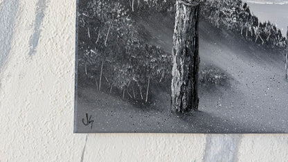 Painting #2449 - 16x20" Canvas - Black and White Seascape painted 5-21-26