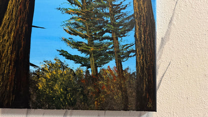 Painting #2307 - 18x24" Canvas - Acrylic Forest painted 2-26-26