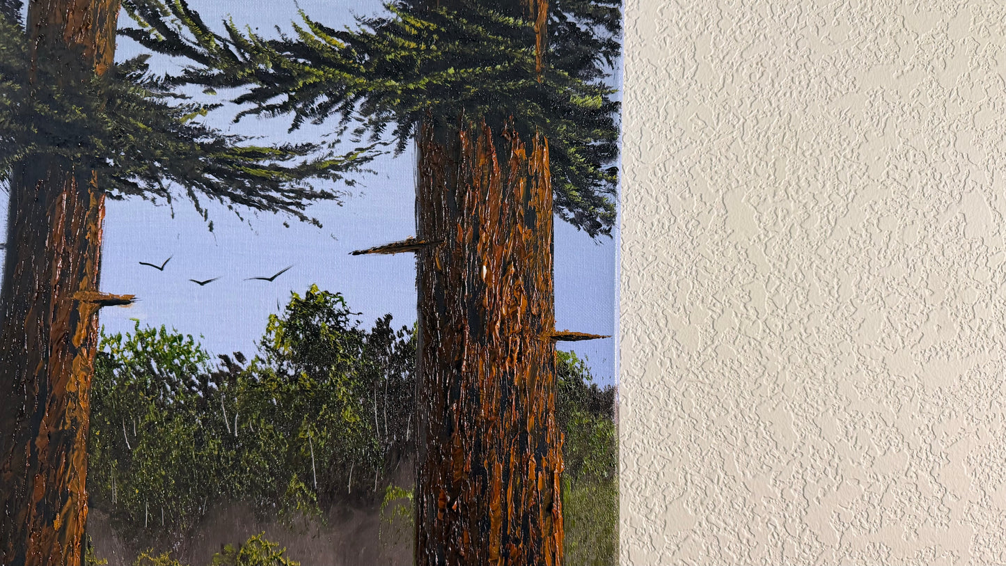 Painting #2509 - 16x20" Canvas - Ponderosa Pines painted 7-10-26