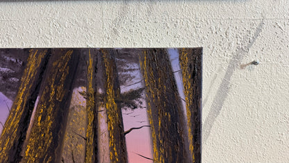 Painting #2302 - 16x20" Canvas - Deep Forest painted 2-23-26