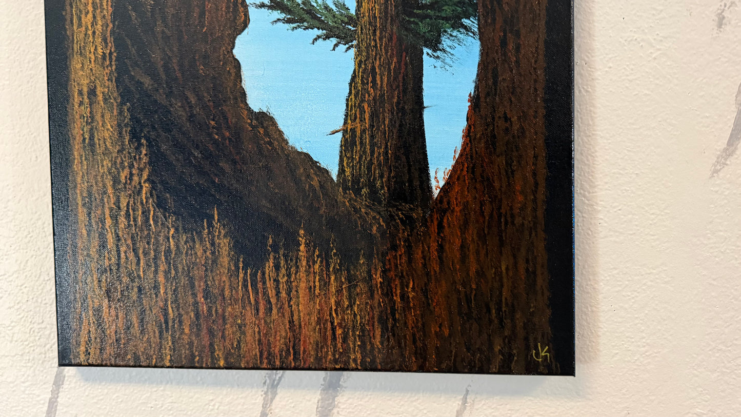 Painting #2356 - 16x20" Canvas - Acrylic Tree Bark Oval painted 3-26-26