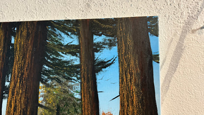 Painting #2304 - 16x20" Canvas - Acrylic Forest painted 2-24-26