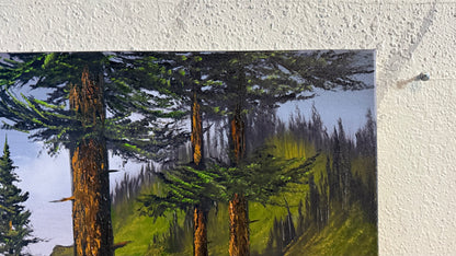 Painting #2455 - 16x20" Canvas - Lighthouse Keepers Trail painted 5-23-26