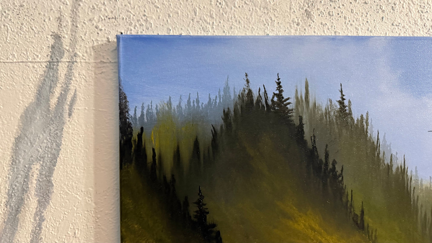 Painting #2416 - 20x24" Framed Canvas - Pacific Northwest Seascape painted 4-28-26