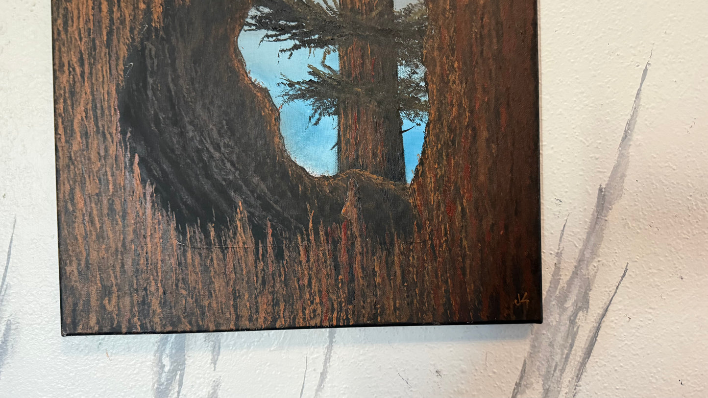 Painting #2355 - 16x20" Canvas - Acrylic Tree Bark Bear painted 3-25-26
