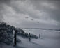 Painting #2449 - 16x20" Canvas - Black and White Seascape painted 5-21-26