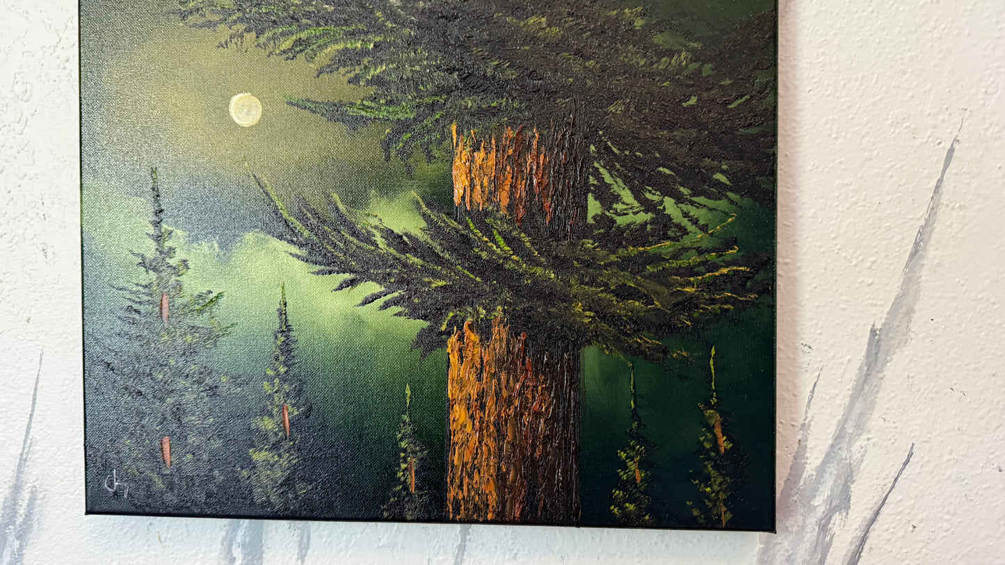 Painting #2471 - 16x20" Canvas - Full Moon Pine Tree Landscape painted 5-31-26