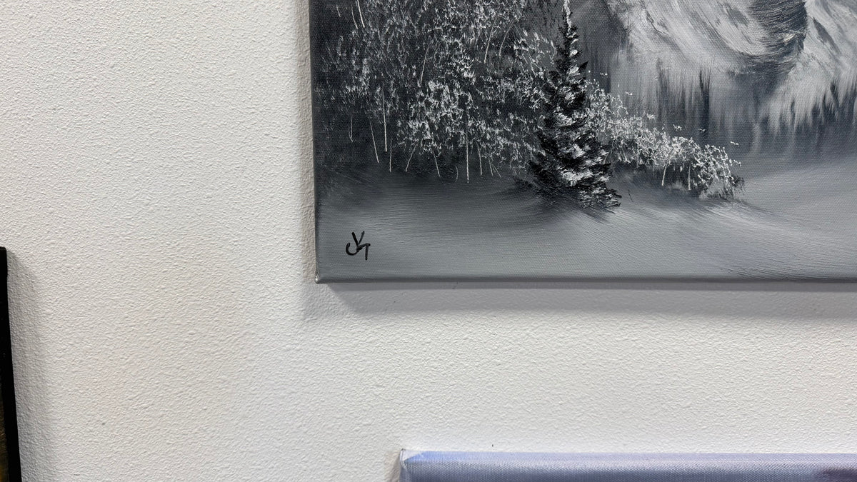 Painting #2638 - 20x24" Canvas - Black and White Landscape painted 10-4-26