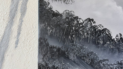 Painting #2456 - 18x24" Canvas - Black and White Meadow painted 5-24-26