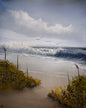 Painting #2321 - 16x20" Canvas - Crashing Wave Cattails Seascape painted 3-7-26