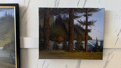 Painting #2410 - 16x20" Canvas - Lighthouse Keeper's Trail painted 4-25-26