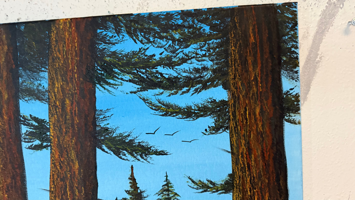 Painting #2327 - 16x20" Canvas - Acrylic Forest painted 3-9-26