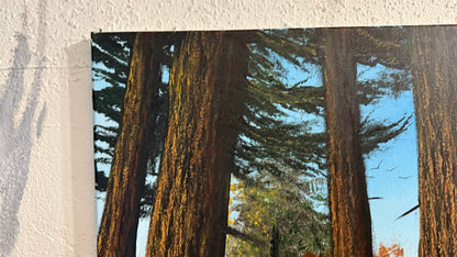 Painting #2304 - 16x20" Canvas - Acrylic Forest painted 2-24-26