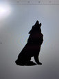 Decal - Howling Wolf - Removable Adhesive Sticker