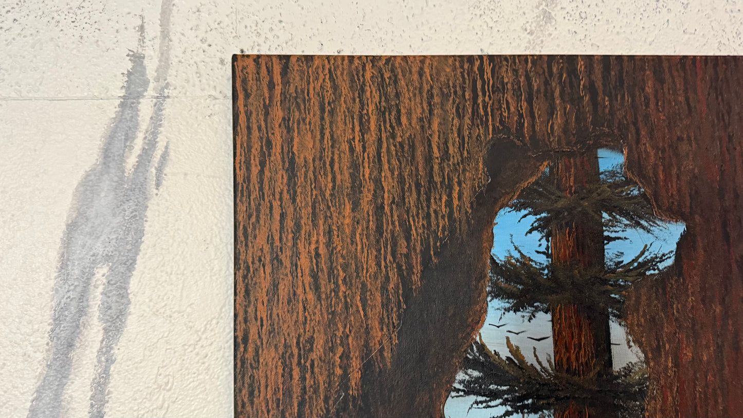 Painting #2355 - 16x20" Canvas - Acrylic Tree Bark Bear painted 3-25-26