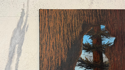 Painting #2355 - 16x20" Canvas - Acrylic Tree Bark Bear painted 3-25-26