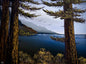Painting #2323 - 18x24" Canvas - Oregon Coast Seascape With Ponderosa Pines painted 3-7-26