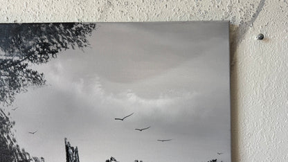 Painting #2448 - 16x20" Canvas - Fence Post Black and White painted 5-21-26
