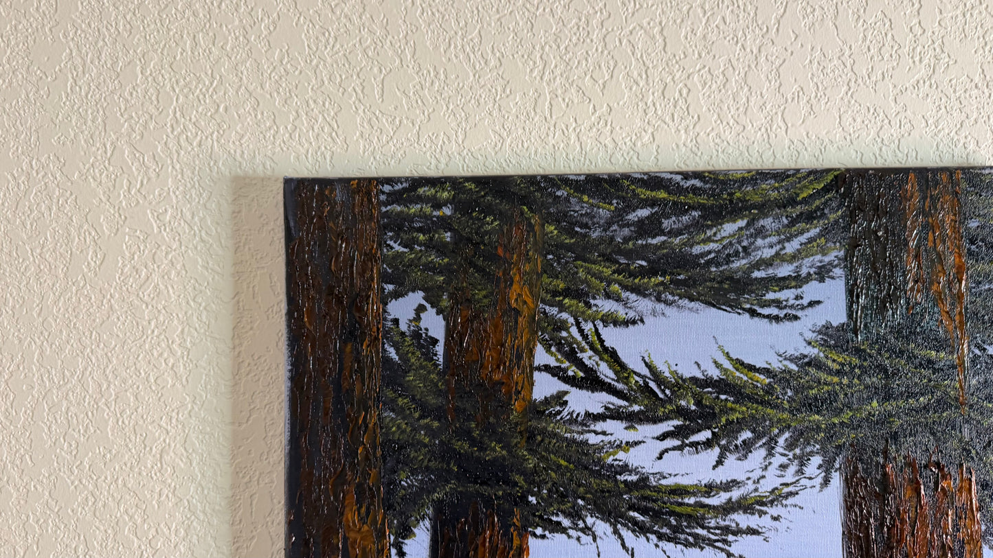 Painting #2509 - 16x20" Canvas - Ponderosa Pines painted 7-10-26