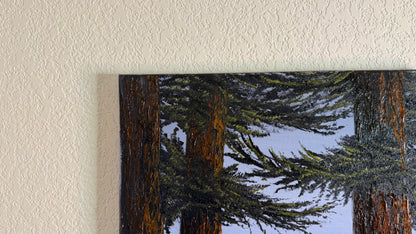 Painting #2509 - 16x20" Canvas - Ponderosa Pines painted 7-10-26