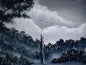Painting #2456 - 18x24" Canvas - Black and White Meadow painted 5-24-26