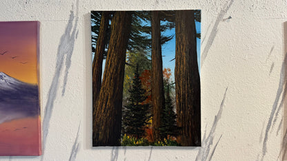 Painting #2304 - 16x20" Canvas - Acrylic Forest painted 2-24-26