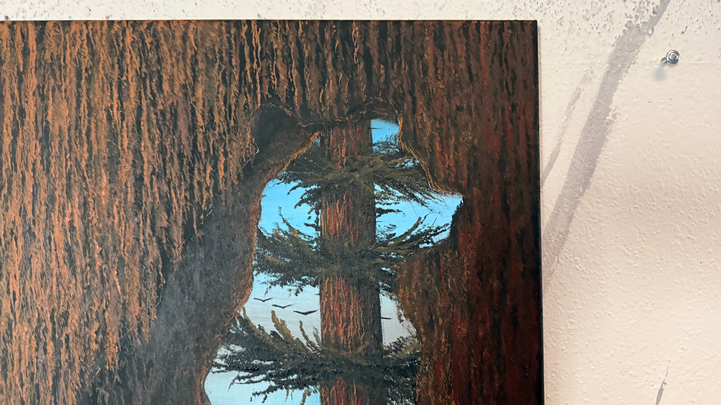 Painting #2355 - 16x20" Canvas - Acrylic Tree Bark Bear painted 3-25-26