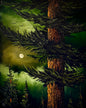 Painting #2471 - 16x20" Canvas - Full Moon Pine Tree Landscape painted 5-31-26