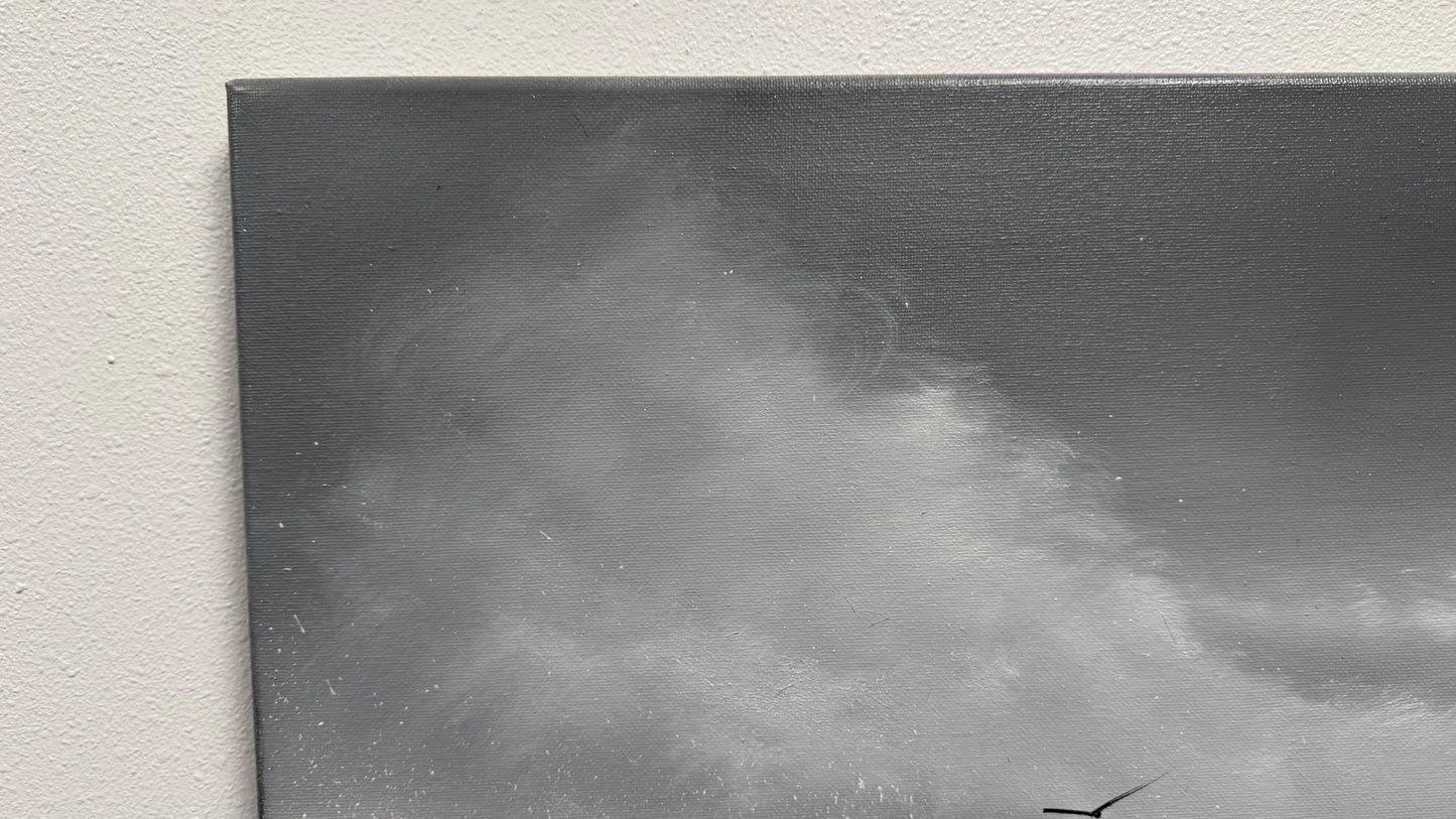 Painting #2523 - 18x24" Canvas - Black and White Seascape painted 7-23-26