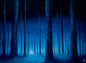 Painting #2647 - 18x24" Canvas - Blue Foggy Forest painted 10-12-26