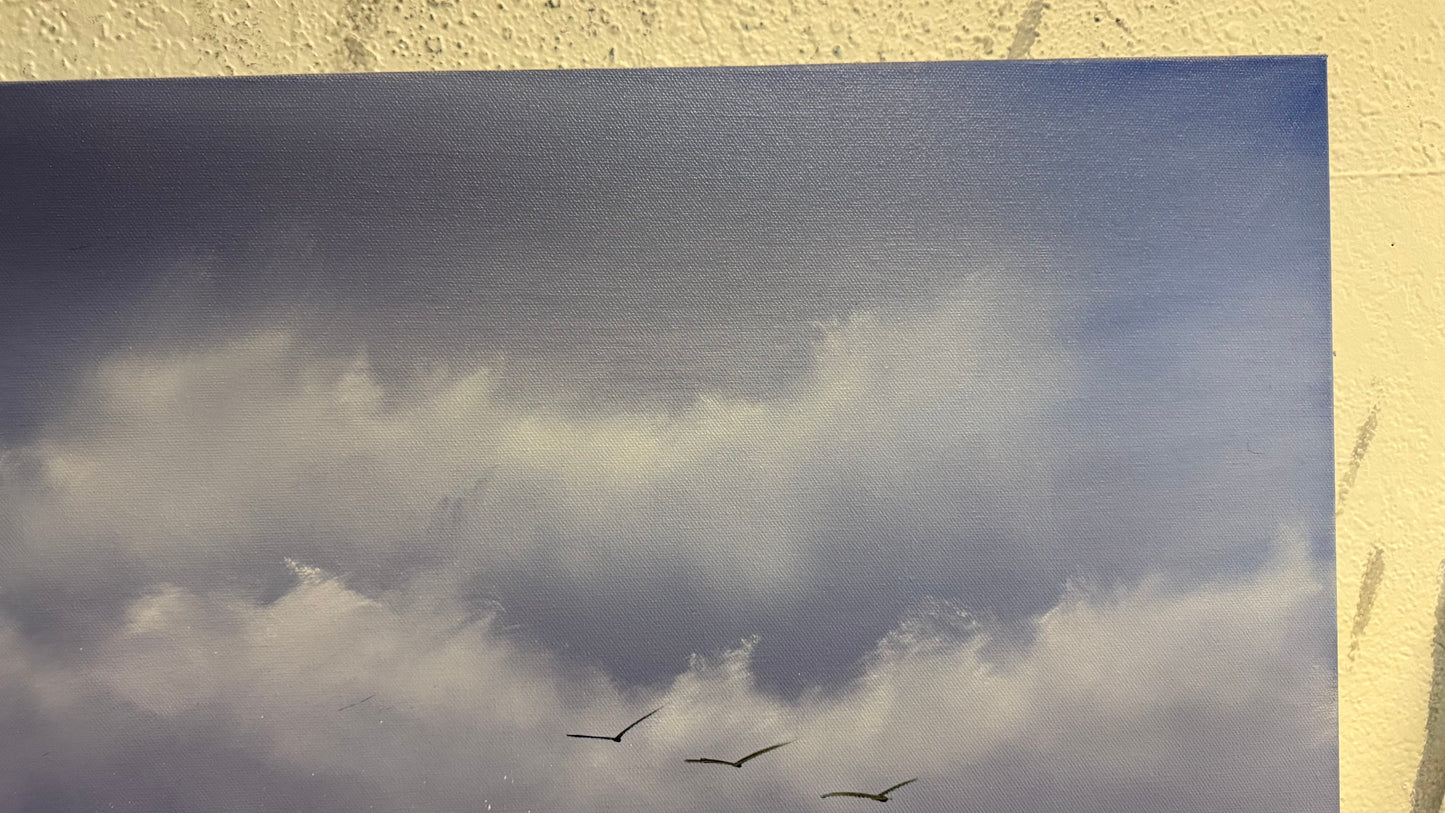 Painting #2192 - 24x30" Canvas - Dune Grass Seascape painted 12-18-25