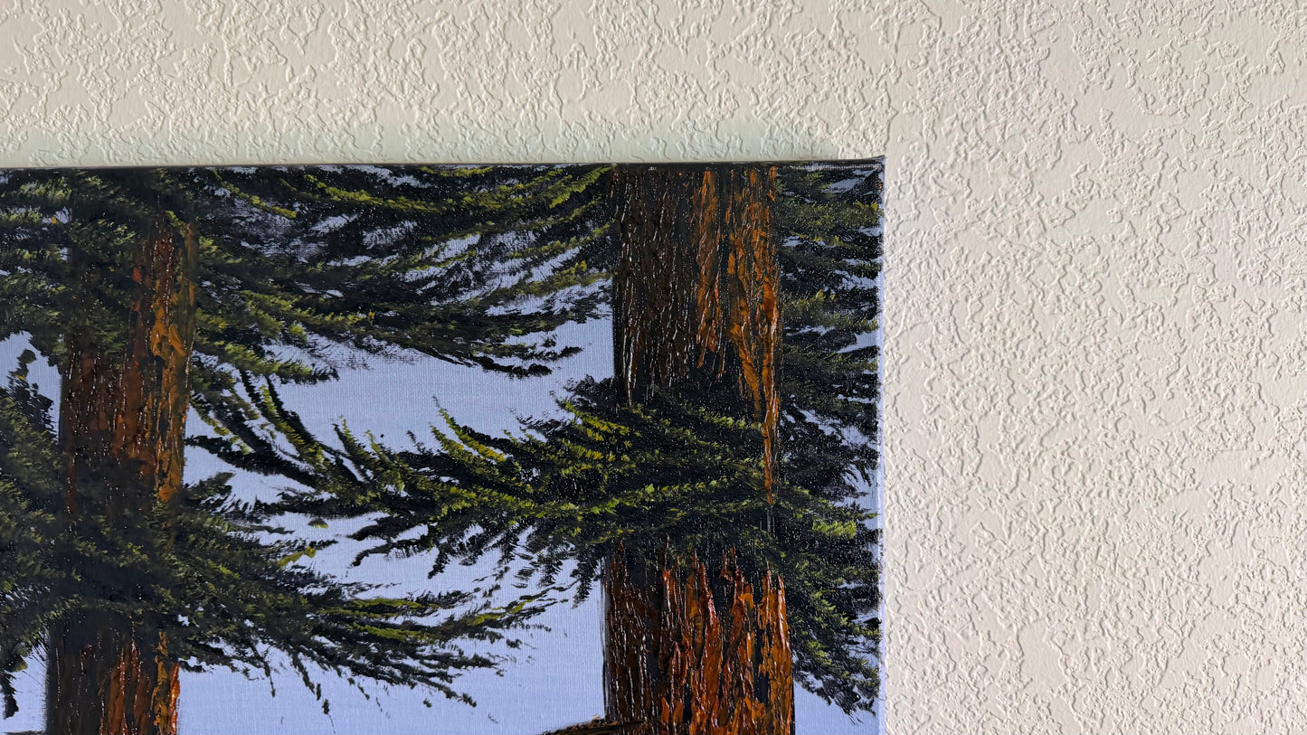 Painting #2509 - 16x20" Canvas - Ponderosa Pines painted 7-10-26