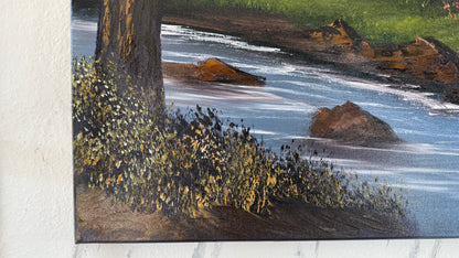 Painting #2058 - 20x24" Canvas - Summer Mountain Landscape painted 9-15-25