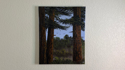 Painting #2509 - 16x20" Canvas - Ponderosa Pines painted 7-10-26