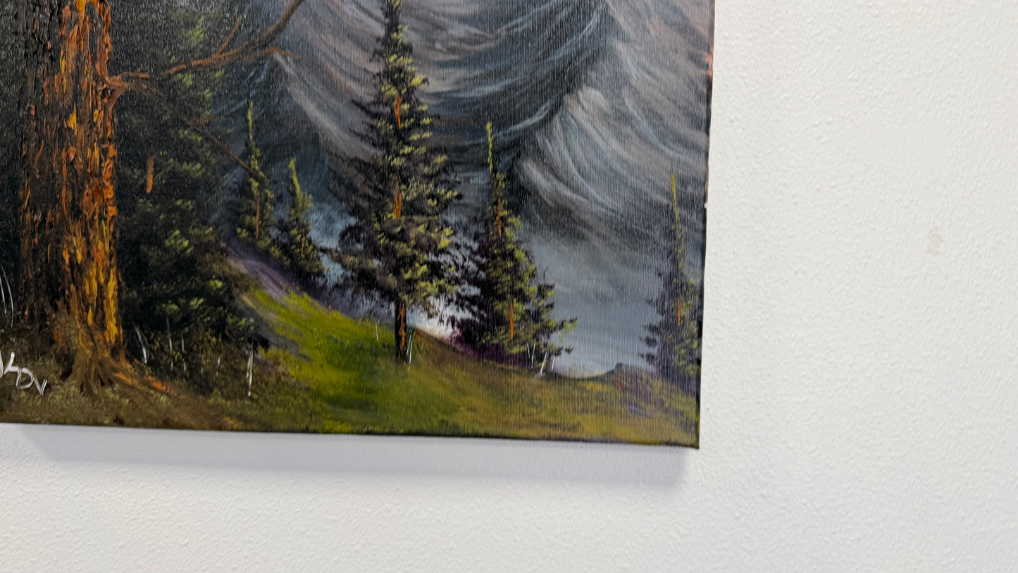 Painting #2583 - 16x20" Canvas - Mountain Forest Landscape by Josh and Dani painted 9-5-26