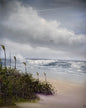 Painting #2267 - 16x20" Canvas - Cattails Seascape painted 2-2-26