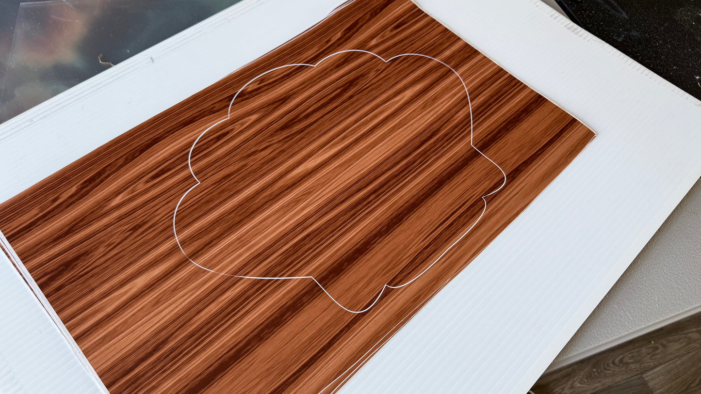 Stencil - Sea Shell - Easy Liner Removable Adhesive Contact Paper