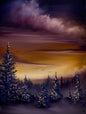 Painting #2641 - 18x24" Canvas - Sunset Forest Landscape painted 10-5-26