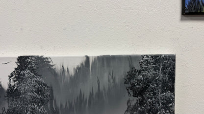Painting #2669 - 18x24" Canvas - Black & White Forest Landscape painted 10-30-26